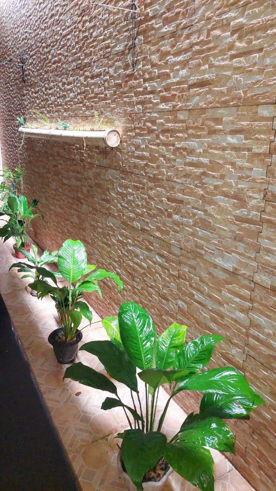 Will'S House Apartment Sao Luis  Exterior photo